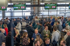 Conex_Xmas_062-scaled